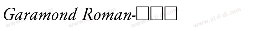 Garamond Roman字体转换